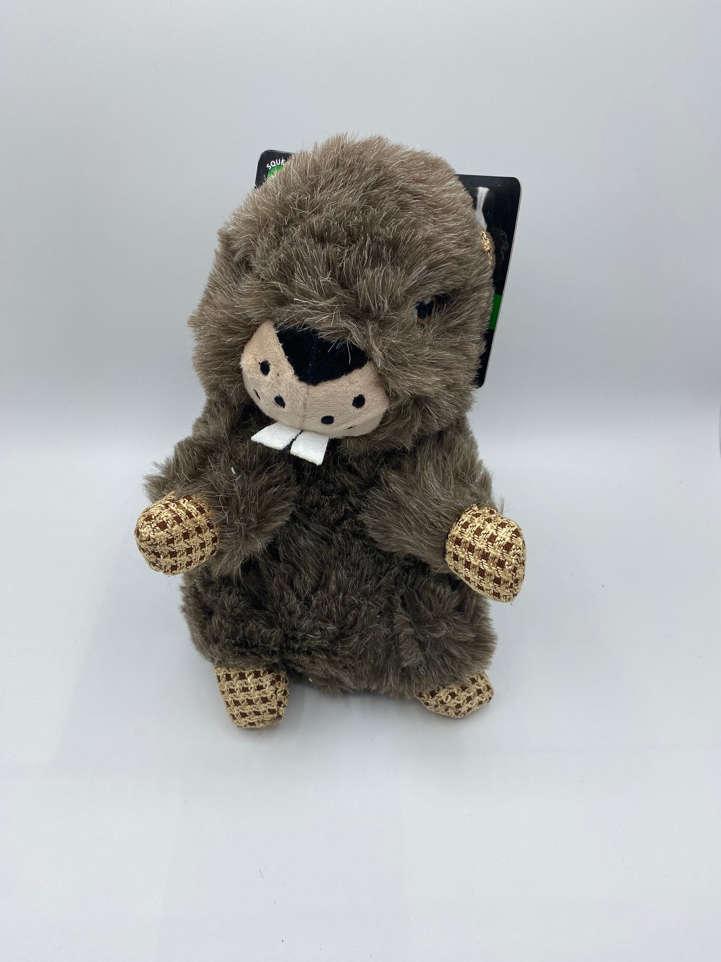 Squeaky Plush Woodland Animals Racoon, Fox, Beaver and Squirrel Size 27cm x24cm dog Toy