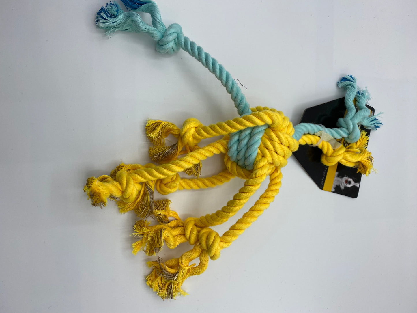 Spider Style Rope Tug Dog Toy