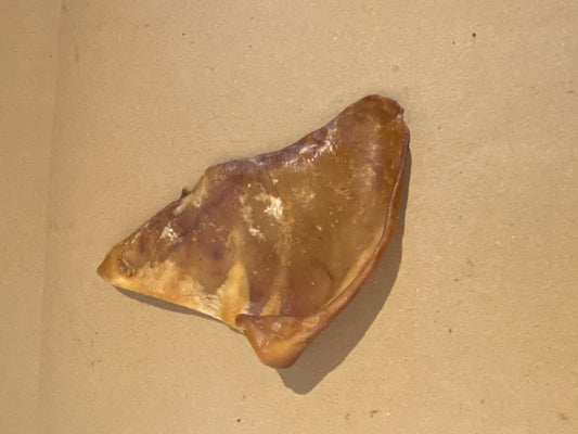 Single Pigs Ear Natural treat for your dog